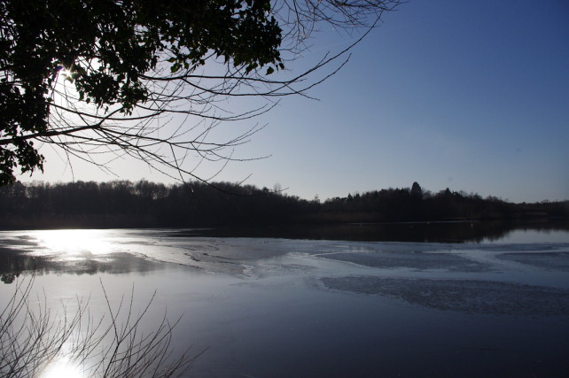 Hedgecourt Lake - Jazz Pianist Surrey